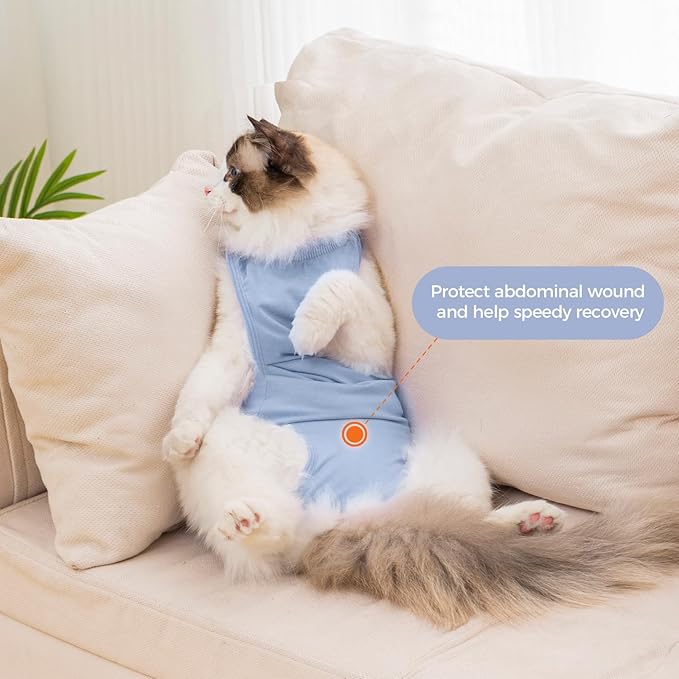 Avont Cat Recovery Suit Female Kitten After Spay Surgery, Breathable Modal Cotton Cat Onesie for Wound & Skin Disease Care, Machine Washable -Blue(L)