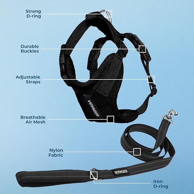 Best Pet Supplies Voyager Step-in Lock Pet Harness w Reflective Pet Leash Combo Set with Neoprene Handle 5ft - Supports Small, Medium and Large Breed Puppies/Cats - Black Set, XL