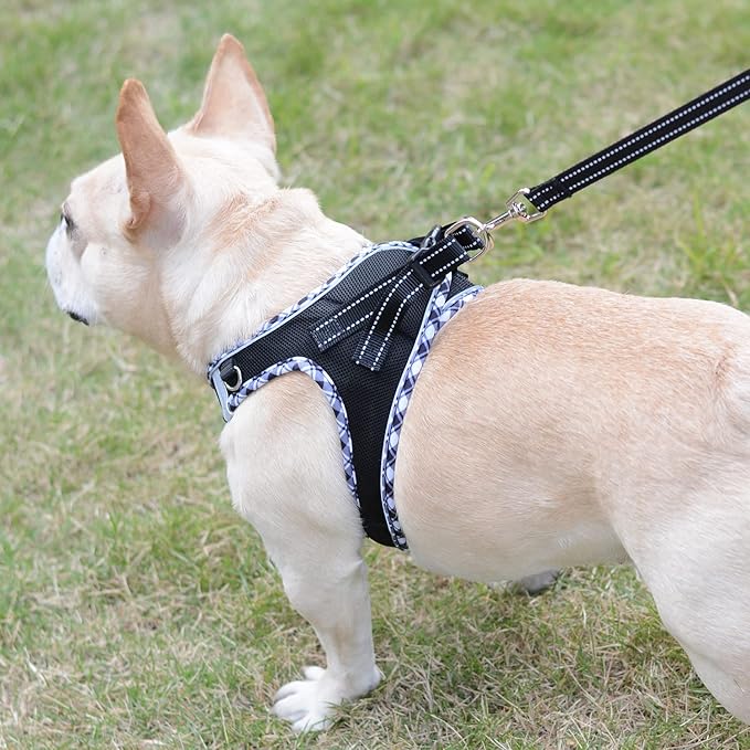 Mercano Soft Mesh Dog Harness and Leash Set, No-Chock Step-in Reflective Breathable Lightweight Escape Proof Vest Harnesses with Safety Buckle for Small Dogs, Cats (Black White, M)