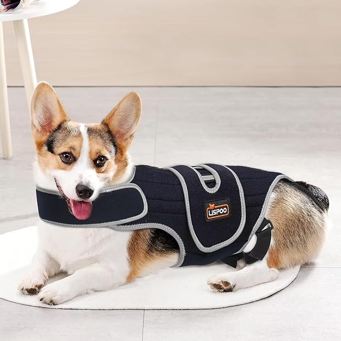 IVDD Dog Back Brace for Dachshunds & Slipped Disc | Post-Surgery Support & Arthritis Relief | Vet-Recommended Back Brace for Dogs | Breathable with Support Rods & Straps (Size XL)