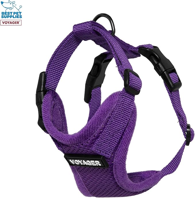 Best Pet Supplies Voyager Step-in Lock Pet Harness w Reflective Pet Leash Combo Set with Neoprene Handle 5ft - Supports Small, Medium and Large Breed Puppies/Cats - Purple, XXS