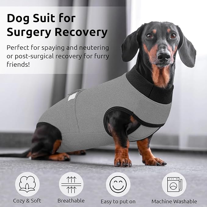 Queenmore Recovery Suit for Dogs Cats After Surgery,Dog Surgical Recovery Suit Onesie,Anti Licking Pet Female Post-Operative Spayed Neutered Puppy Surgical Clothes for Abdominal Wounds, Grey