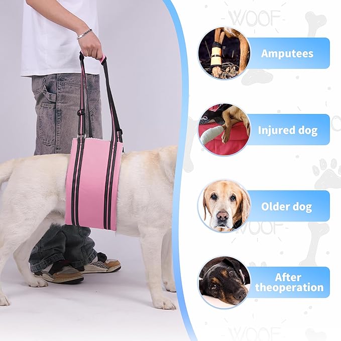AIITLE Dog Lift Harness for Large Dogs - Adjustable Hind Leg Pet Sling for Elderly/Disabled Dogs, Orthopedic Rehab Aid with Plush Padding & Reflective Straps, Helps Stairs/Car Access (Pink, XL)