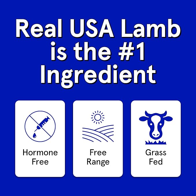 Real Meat Tiny Trainer Bites Dog Treats - 1lb of USA-Made Soft & Chewy Air-Dried Lamb Training Treats for Dogs & Puppies - All-Natural Grain-Free Dog Training Treats With Free-Range Grass-Fed Lamb