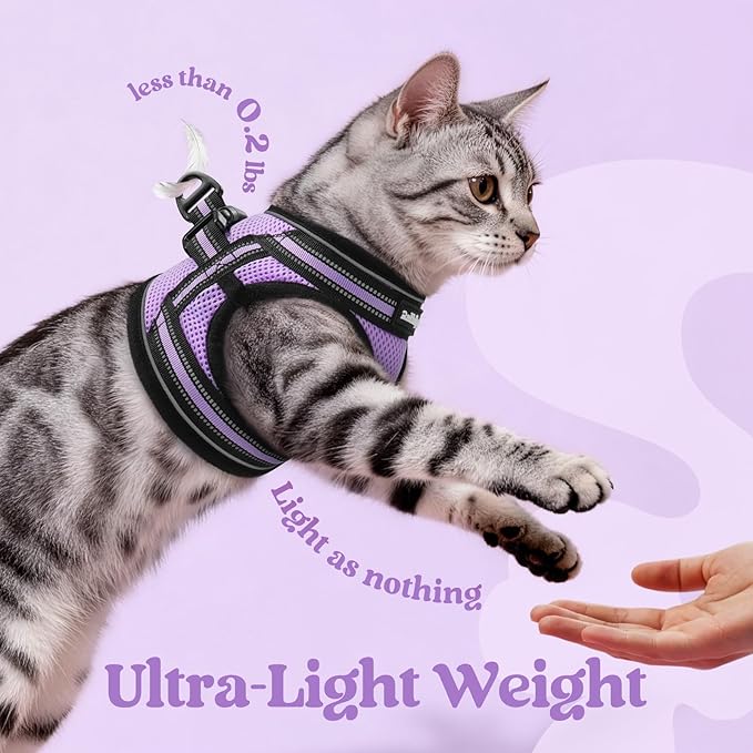 rabbitgoo Cat Harness and Leash Set for Walking Escape Proof, Adjustable Soft Kittens Vest with Reflective Strip for Cats, Comfortable Outdoor Vest, Light Purple, XL