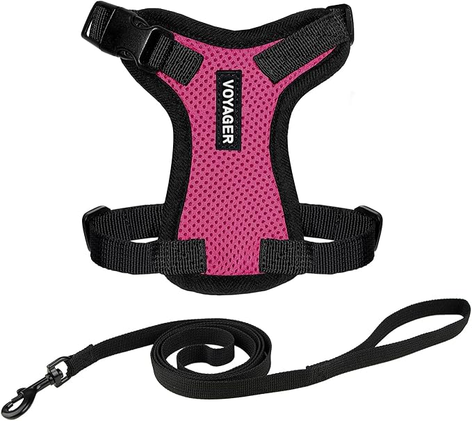 Voyager Escape-Proof Step-in Lock Cat Harness & 5ft Neoprene-Handle Leash Set All-Weather Mesh with Reflective Stitching for Small to Large Cats by Best Pet Supplies, Fuchsia/Black Trim, XXS