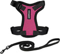 Voyager Escape-Proof Step-in Lock Cat Harness & 5ft Neoprene-Handle Leash Set All-Weather Mesh with Reflective Stitching for Small to Large Cats by Best Pet Supplies, Fuchsia/Black Trim, XXS