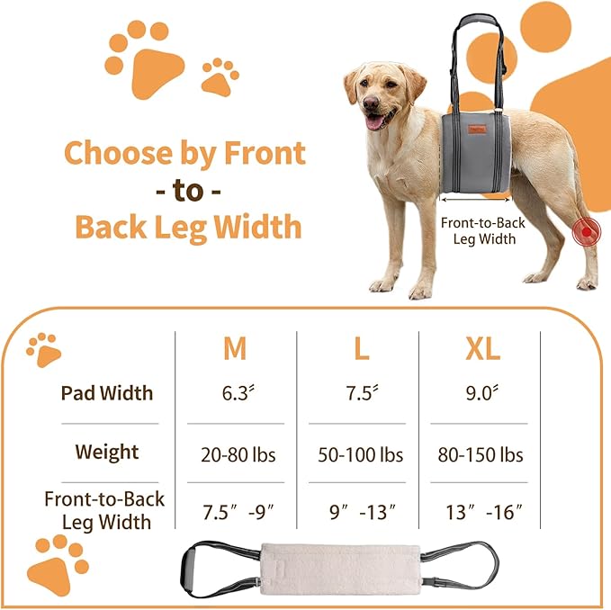 Dog Lift Harness for Large Dogs, Adjustable Comfortable Dog Sling with Handle, Knee & Rear Leg Support for Torn ACL Rehabilitation, Weak Rear Legs, Helps Senior, Disabled Canines(Grey,M)