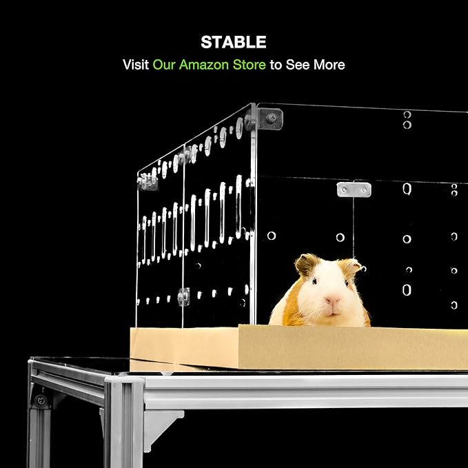 GuineaLoft™ Acrylic Cage (Model-A2) - Large 4x2ft Expandable C&C Cage for Guinea Pigs, Rabbits, Button Quails, Hedgehogs, Small Animals that Need Roaming Space - Visit Our Store to See More