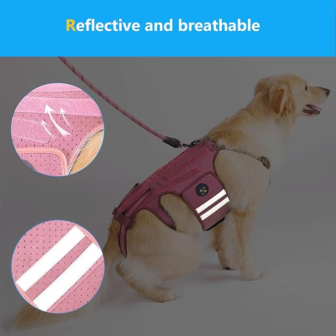 Coodeo Dog Back Brace for Dogs Arthritis, Pet Back Bracer for IVDD, Back Protector Helps Pain Relief, Surgical Recovery and Rehabilitation, Dogs Back Disease Prevention. (Pink,Medium)