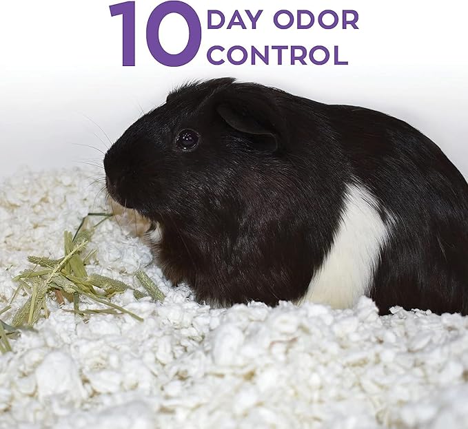 Carefresh 99% Dust-Free White Natural Paper Small Pet Bedding with Superior 10 Day Odor Control & Absorption, for Guinea Pigs, Hamsters, Rabbits, & Rats, 50 L
