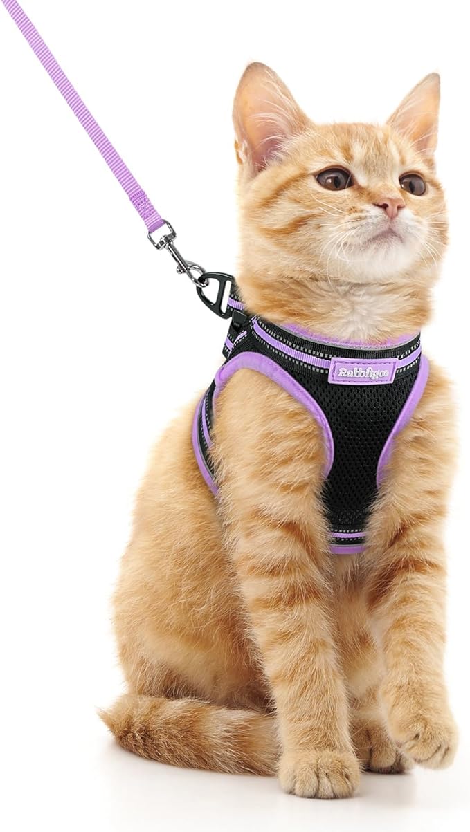 rabbitgoo Cat Harness and Leash Set for Walking Escape Proof, Adjustable Soft Kittens Vest with Reflective Strip for Cats, Comfortable Outdoor Vest, Black & Light Purple, M