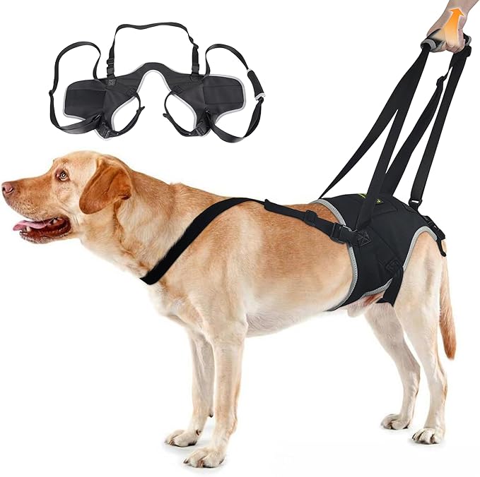 Dog Lift Harness for Small Dogs, Adjustable Hind Leg Sling for Walking Support, Helps with Hip Dysplasia, Arthritis & Post-Surgery Recovery, Back Leg Support Harness, Size S