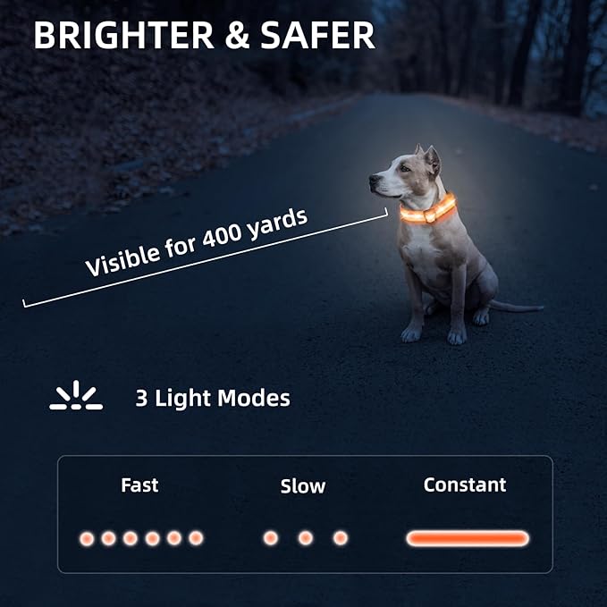 LED Dog Collar for Small Dogs Cats - Fully Waterproof & Adjustable Glow Collar - USB-C Rechargeable for Night Walking, Safety - Flashing Lighted Collar for Dogs(Orange,XS)