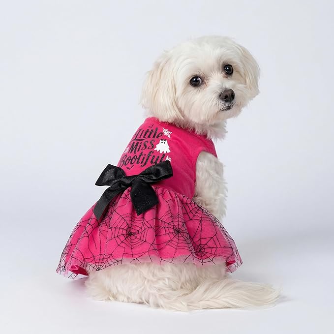 Fitwarm Little Miss Bootiful Halloween Dog Dress, Funny Costumes for Small Dogs Girl, Pet Outfit, Black, Hot Pink, XXS