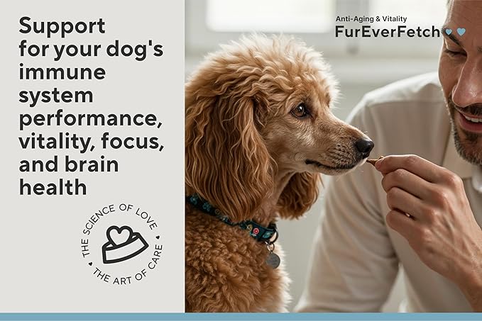 Senior Dogs Vitamin Treats: Brain Function, Longevity, Immune Health, Overall Vitality & Vision in Aging Dogs. Enriched with Breakthrough Active Ingredients (30 Days Supply)