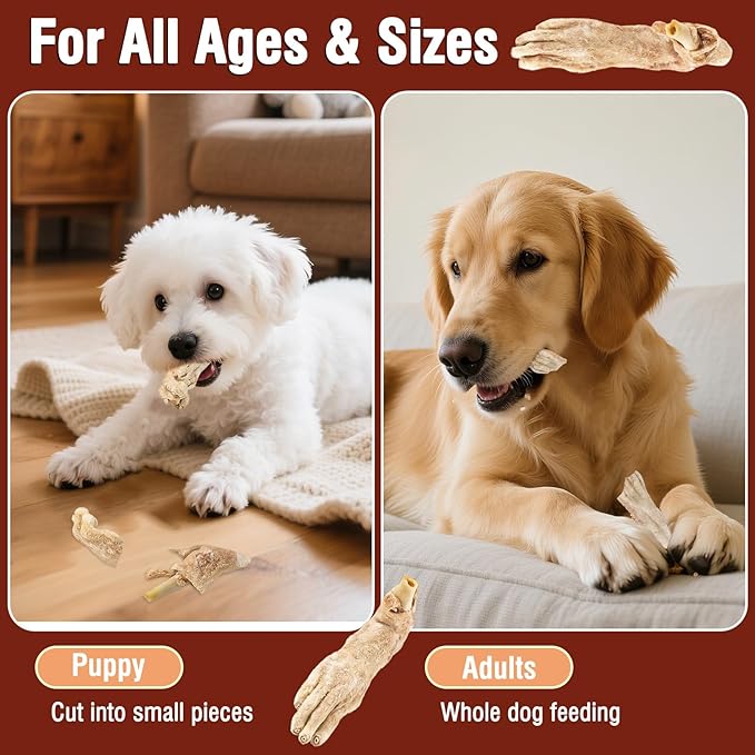 Freeze Rabbit Feet Dog Treats Single Ingredient Raw Dog Food Toppers High-Protein Training Chew Stick for Dogs & Puppies (1.76oz)
