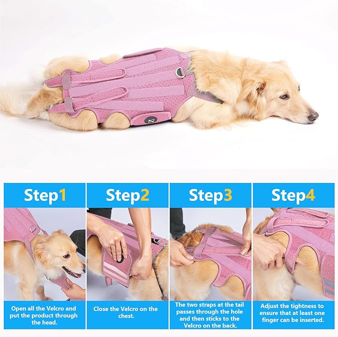 Coodeo Dog Back Brace for Dogs Arthritis, Pet Back Bracer for IVDD, Back Protector Helps Pain Relief, Surgical Recovery and Rehabilitation, Dogs Back Disease Prevention. (Pink,Small)