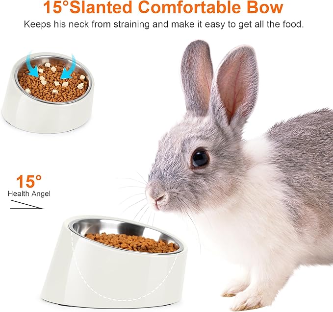 Tilted Dog Bowl Non-Slip & Non-Spill Pet Feeder with Elevated Detachable Melamine Stand, Easy to Get Food Dog Dish, S/100ml White