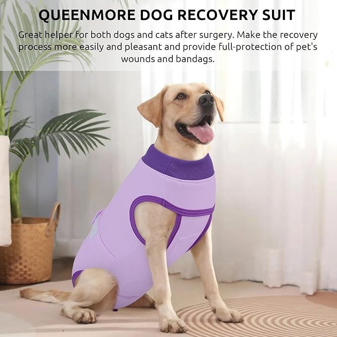 Queenmore Recovery Suit for Dogs Cone Alternative After Surgery Breathable Cotton Dog Onesie, Dog Surgery Suit Female Spay, Prevent Licking Pet Surgery Recovery Suit, Purple,S