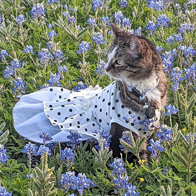 ANIAC Floral Cat Bridal Wedding Dresses Polka Dogs Small Dog Dress Female Ball Gown Puppy Princess Tutu Skirt Stretchy Pet Clothes for Spring Summer (White, Medium)