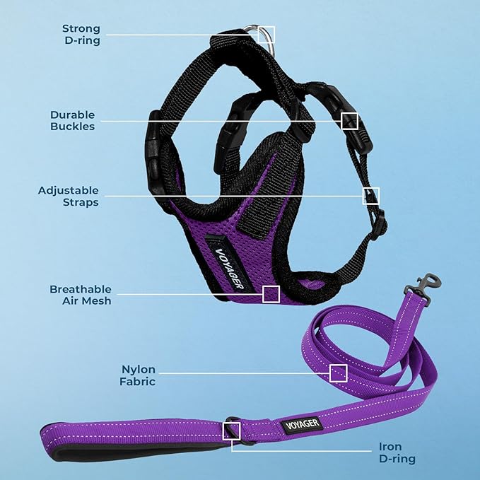 Best Pet Supplies Voyager Step-in Lock Pet Harness w Reflective Pet Leash Combo Set with Neoprene Handle 5ft - Supports Small, Medium and Large Breed Puppies/Cats - Purple/Black Trim, XS