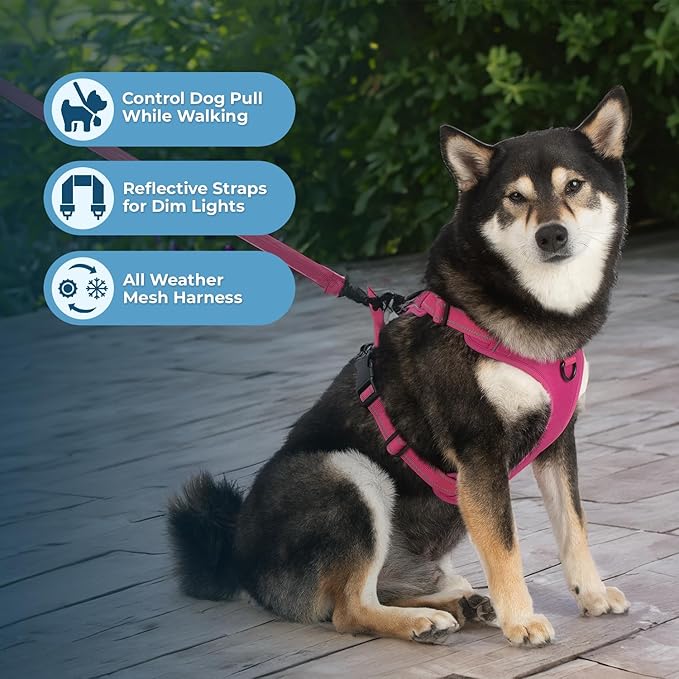 Voyager Dog Harness Dual Leash Attachment No-Pull Control Adjustable Soft but Strong Pet Harness for Medium and Large Dogs with 3M Reflective Technology, Leash Set Fuchsia Nylon, L (Chest: 25-30")