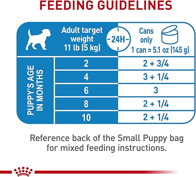 Royal Canin Size Health Nutrition Small Puppy Thin Slices in Gravy Dog Food, 5.1 oz (Pack of 24)