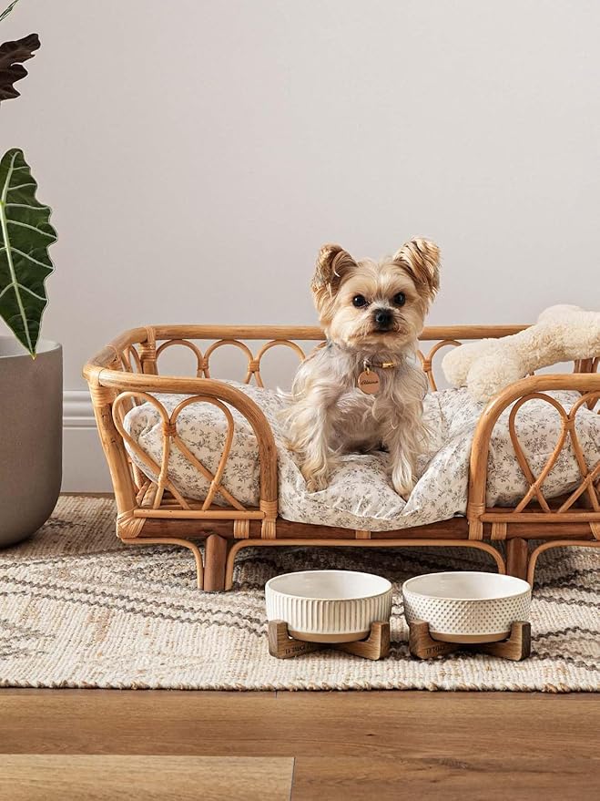 LE TAUCI PET Ceramic Dog and Cat Bowl Set with Acacia Wood Stand - 2 Cup Weighted Non-Slip Food and Water Bowls for Small Dogs & Cats, Lines + Dot
