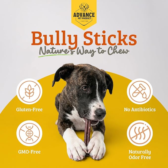Advance Pet Products Premium 12 Inch Bully Sticks for Dogs (Pack of 5) – 100% Beef Dog Chews, Long Lasting Odor-Free Treats, High Protein, Gluten-Free, Easy to Digest for Small, Medium & Large Dogs
