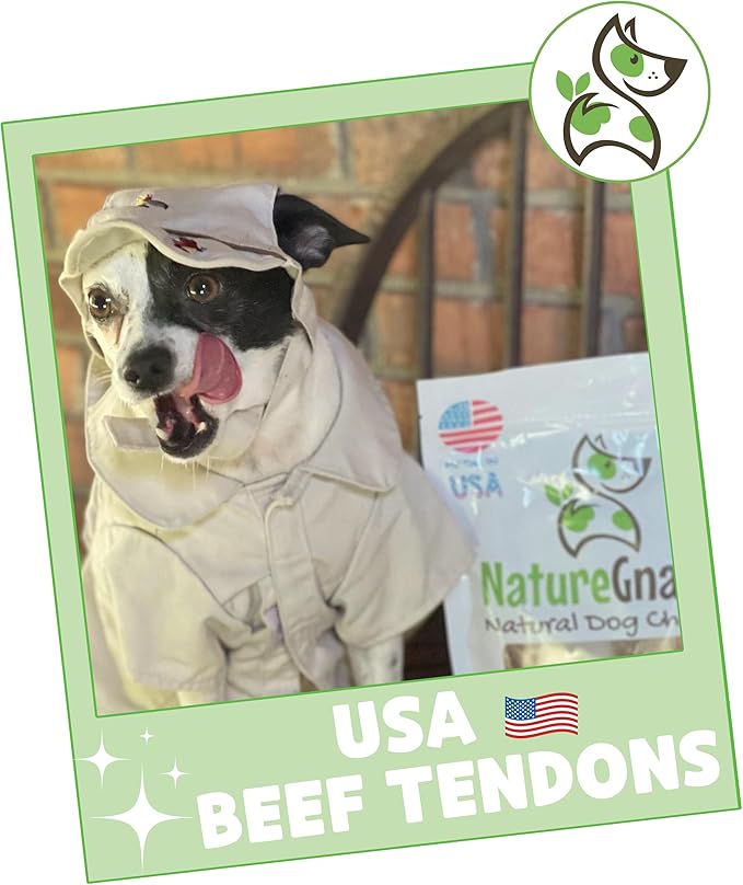 Nature Gnaws USA Beef Tendons for Dogs 1 Pound (8oz X2) - Mixed Thickness - Long Lasting for Aggressive Chewers - Premium Natural Beef Dog Chew Treats - Rawhide Free (Pack of 2)