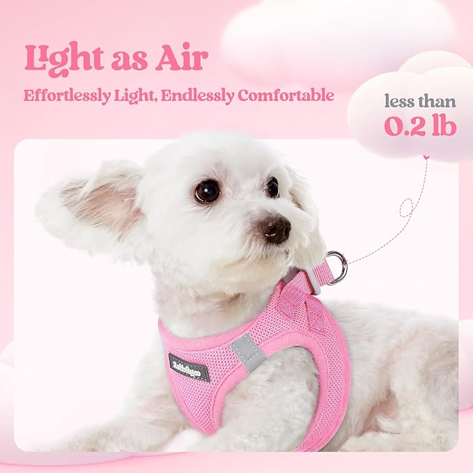 rabbitgoo Dog Harness Small Sized and Leash Set, Step in Soft Light Puppy Vest, Breathable Mesh Pet Harness, Reflective for Safe Easy Walking, Light Pink XS