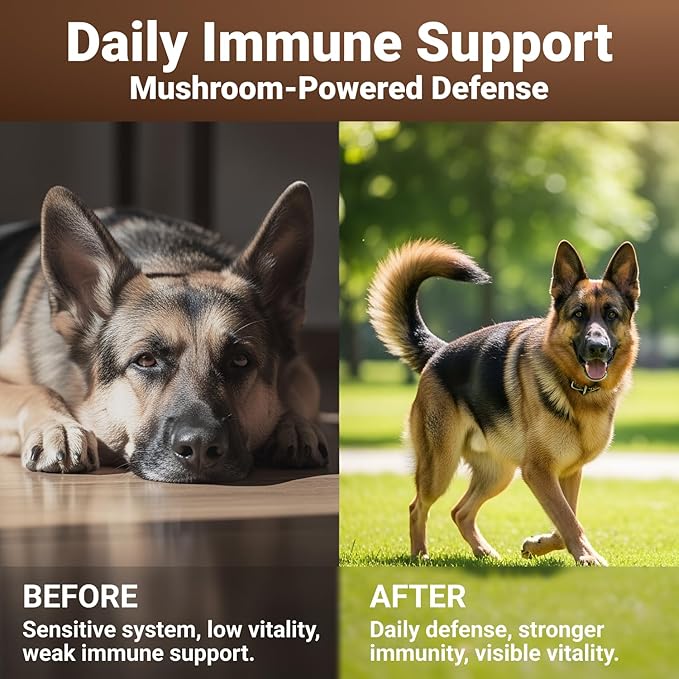 WuffWell Mighty Mushroom Supplement for Dogs - Turkey Tail & Green Lipped Mussel - Senior Dog Wellness, Immune Support, Turmeric - Enhance Vitality & Longevity in Aging Dogs - 7 Mushrooms