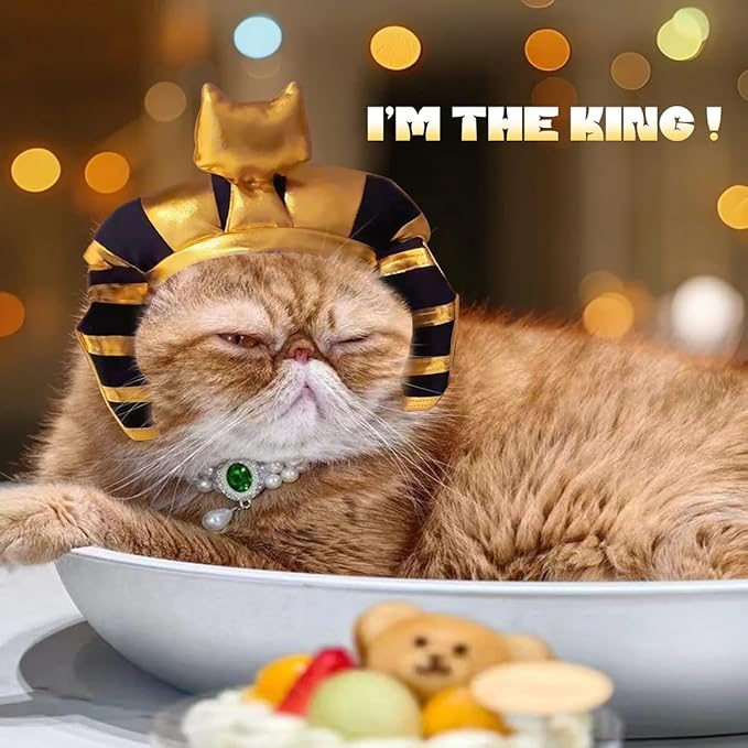 MANON ROSA Cat Egyptian Costume Set 2PC – Pet Golden King Pharaoh Headwear with Pearl Necklace, Cute Festival Cosplay Outfits Accessory & Photo Props for Small Medium Dogs Cats Puppies Kittens