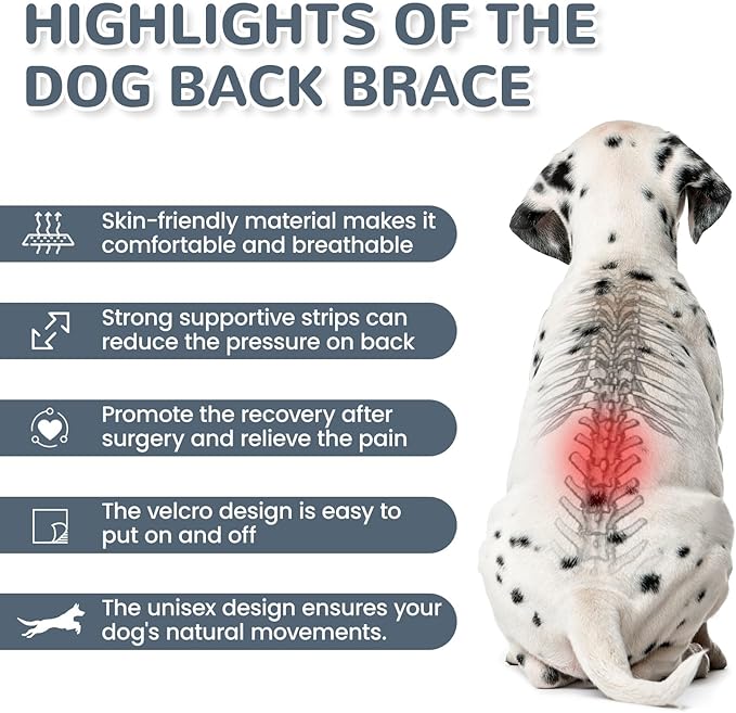 Dog Back Brace for IVDD & Spinal Recovery, Adjustable Breathable Support Vest Dog Lumbar Protector Helps Pain Relief, Pet Surgical Suit for Back Disease Prevention, Black L