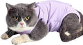 kzrfojy Cat Surgery Recovery Suit Cat Onesie for Cats After Surgery Spay Surgical Abdominal Wound Skin Diseases E-Collar Alternative Wear (Purple-S)
