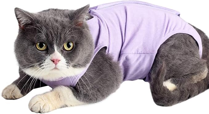 kzrfojy Cat Surgery Recovery Suit Cat Onesie for Cats After Surgery Spay Surgical Abdominal Wound Skin Diseases E-Collar Alternative Wear (Pruple-M)
