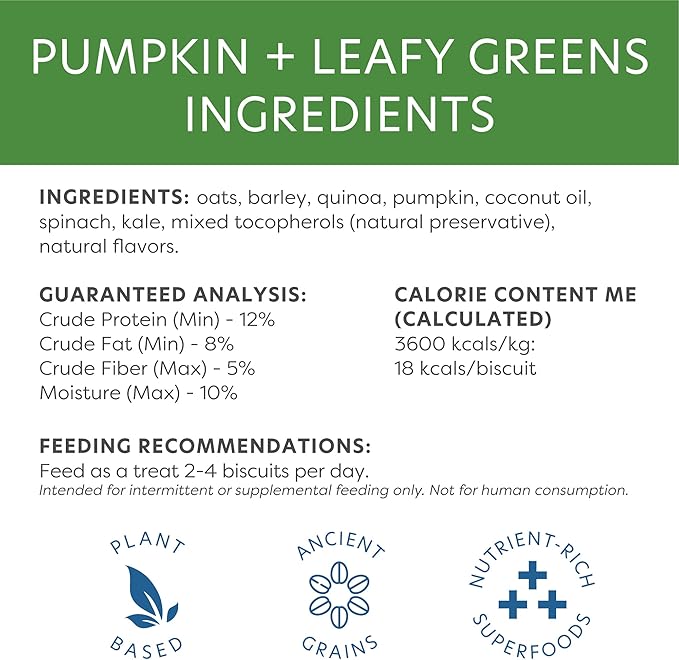 Body and Soul Pumpkin + Leafy Greens Crunchy Premium Training Dog Treat Superfood Oven Baked Biscuits Oats Barley & Quinoa - Clean Natural Plant Protein, No Additives No Fillers Made in USA 2Pk (20oz)