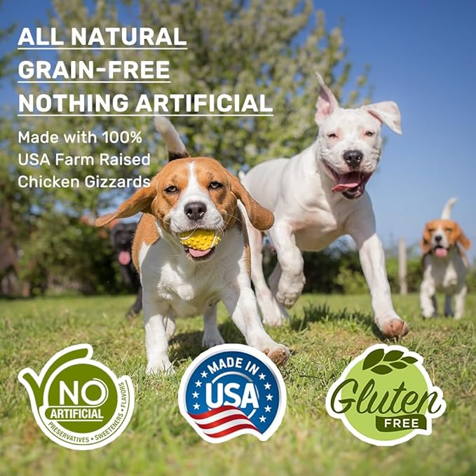 American Paws Dehydrated Chicken Gizzards Dog Treats, Only One Ingredient, No Additives, Made and Sourced in USA