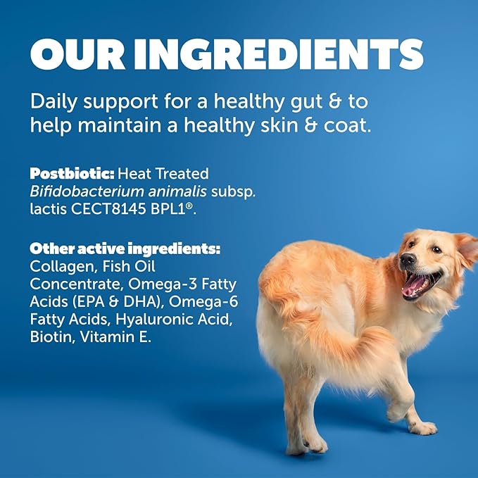 Protexin Daily Care Gut+ Skin & Coat | 60 Dog Chews, Salmon and Sweet Potato Flavor Dog Supplement | Probiotics for Dogs, Dog Postbiotics