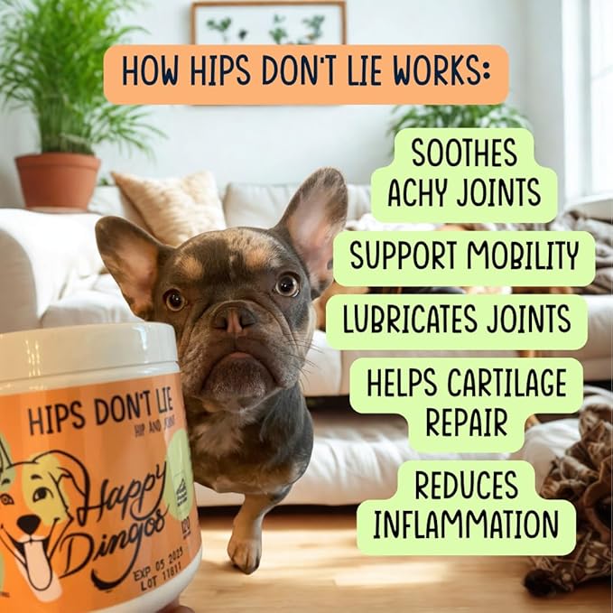 Hips Don't Lie Hip and Joint Supplement for Dogs - Glucosamine, MSM, Chondroitin - for Inflammation, Mobility Support, Joint Pain Relief - 120 Count - Bacon Soft Chew
