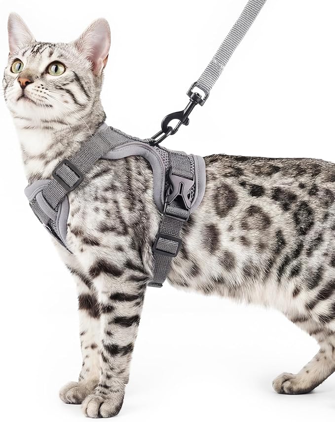 Cat Harness and Leash Set Escape Proof Tactical Large Kitten Harness Emotional Support Cat Vest, Grey, L