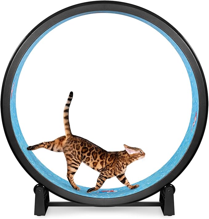One Fast Cat - Cat Exercise Wheel - Gen. 7 - Safe 48" Diameter - Made in The USA - Black Wheel with Koi Pond Foam Traction Pads and Solid Black Inline Wheels