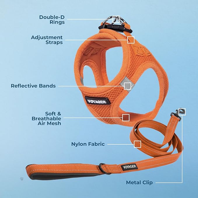 Best Pet Supplies Voyager Step-in Air All Weather Mesh Harness and Reflective Dog 5ft Leash Combo with Neoprene Handle, for Small, Medium and Large Breed Puppies - Set (Orange), Large
