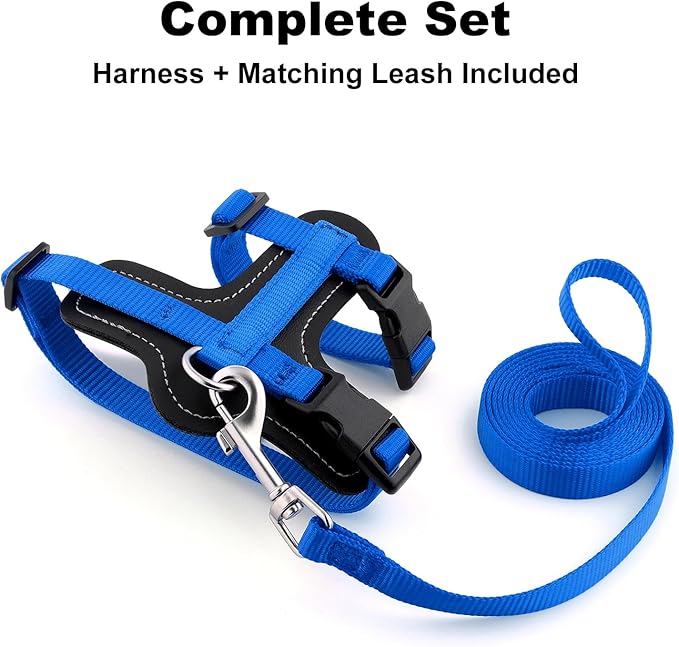 Plutus Pet Adjustable Cat Harness and Leash Set, Quick Release, Escape Proof Nylon Vest with Leather Trim for Kitten, Small Medium Large Cats, Royal Blue