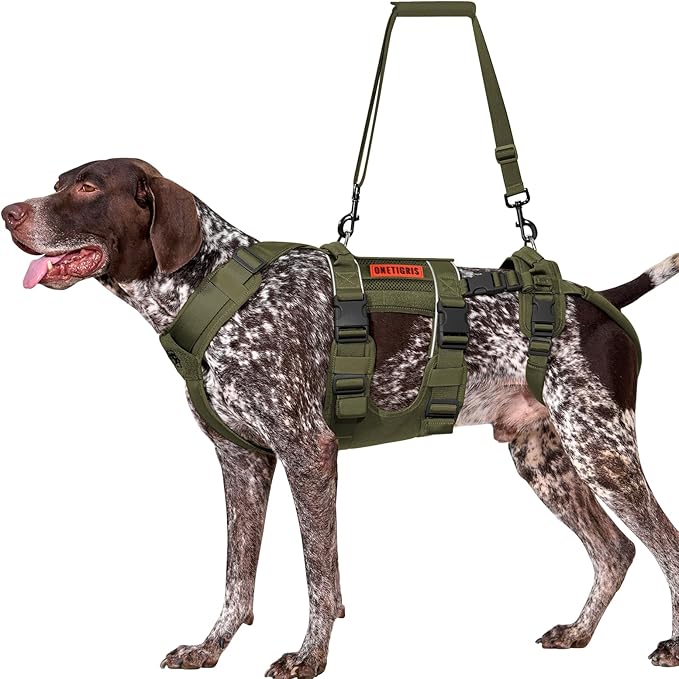 OneTigris Breathable Dog Lift Harness for Medium Sized Dogs, Dog Sing for Large Dogs Hind Leg Support, Hip Support Brace Front Leg Vrace (Green, X-Large)