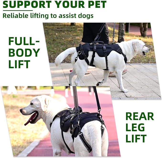 PUPTECK Dog Lift Harness for Medium Large Sized Dog, Rehabilitation Sling for Hind Leg Support, Multifunctional Mobility Assistance Harness for Old, Disabled, Joint Injuries, Paralysis Dog, Black XL