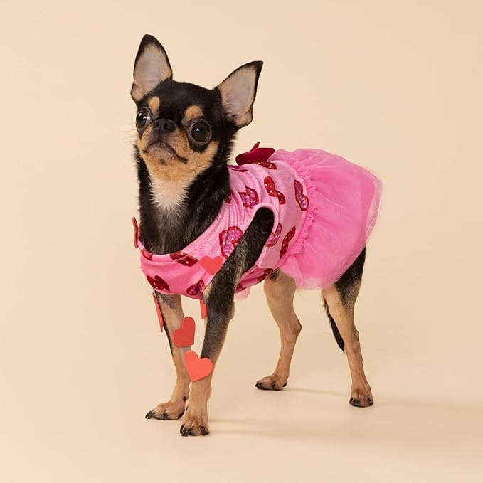 Fitwarm Pink Heart Tulle Dog Dress, Fancy Valentines Outfit for Small Dogs Girl, Festive Pet Clothes, Pink, Red, XS