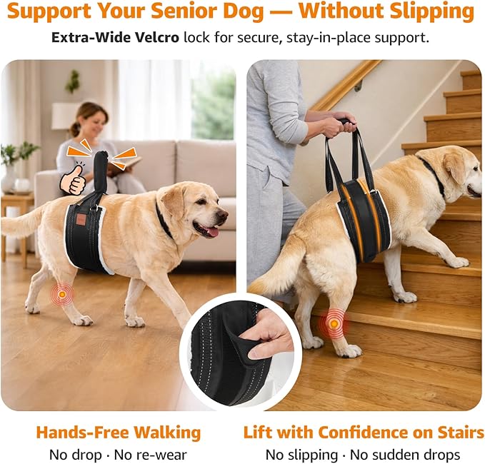 LOOBANI Dog Lift Harness for Back Legs, Portable Dog Sling for Large Dogs Hind Leg Support, Comfortable Supports Helps Canie Hip Arthritis K9 Cruciate Ligament Rehabilitation