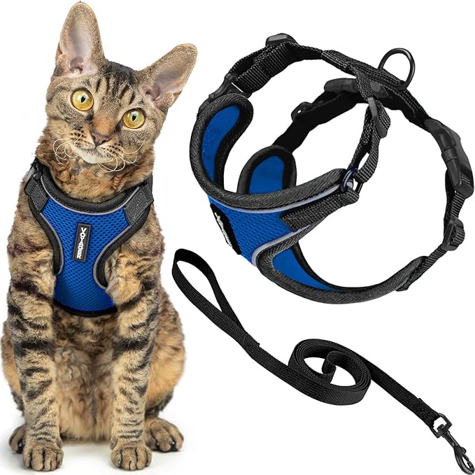Voyager Escape-Proof Step-In Lock Cat Harness & 5ft Neoprene-Handle Leash Set All-Weather Mesh with Reflective Stitching For Small to Large Cats by Best Pet Supplies, Black Trim-Royal Blue (327), XXXS